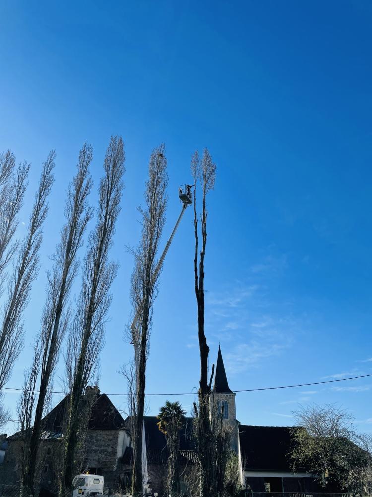 image8-min
