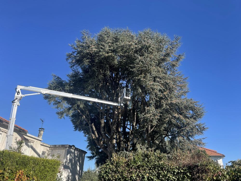 image10